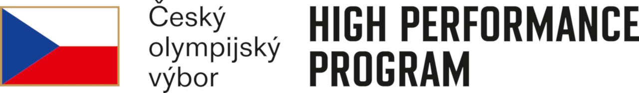 Hlavní partner projektu